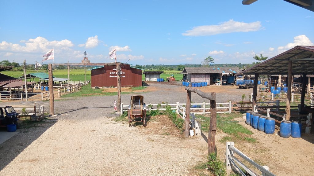 Overview, from Main gate